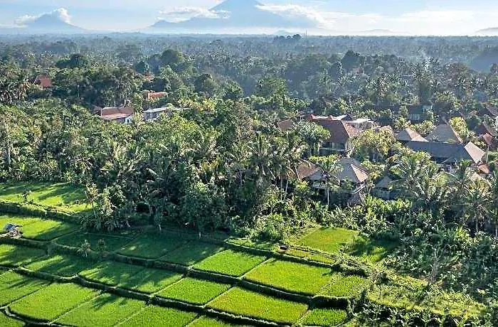 Kori Resort, Restaurant & Hotel Ubud (Bali)
